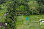 thumbnail-land-for-sale-leasehold-with-ricefield-view-in-pejeng-bali-2