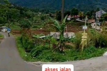 Di Juall Tanah Kebun Murah Luas 2,5 Ha Akes Masuk Mobil Pinggir Jalan Kabupaten