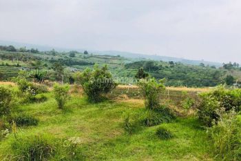 Tanah Kota Batu, Akses Mobil, Harga Murah, Siap Bangun