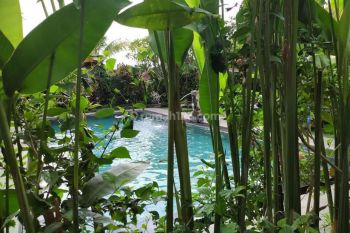 Resort bintang 3  di Penestanan ubud hanya beberapa menit ke, pusat ubud