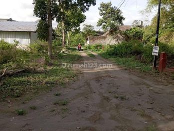 Jual Tanah Pekarangan Murah di Timur Ringin Purwomartani