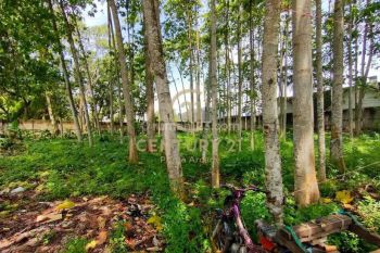 Cepat Kavling pinggir jalan raya Di Lengkong Wetan Bisa Untuk Gudang