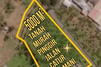 Tanah Murah Pinggir Jalan Catur Kintamani Bali
