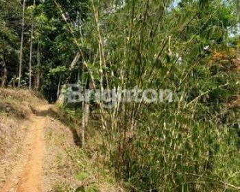 TANAH DATAR SIAP PAKAI BANGUN AREA TIONGTING SALATIGA