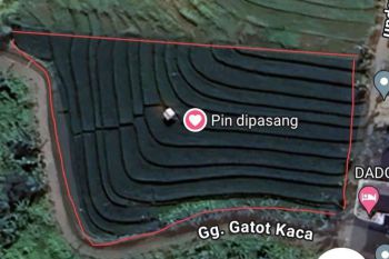 Tanah luas di Canggu