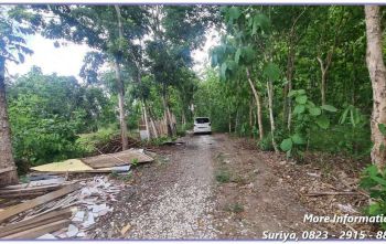 Jual Tanah Bantul Dekat Bank BPD Dekat SMPN1 Piyungan