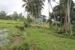 thumbnail-tanah-sewa-dengan-pemandangan-rice-terrace-di-ubud-bali-4