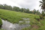thumbnail-tanah-sewa-dengan-pemandangan-rice-terrace-di-ubud-bali-1