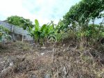 thumbnail-land-for-sale-in-beachside-area-of-pererenan-3