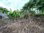 thumbnail-land-for-sale-in-beachside-area-of-pererenan-7