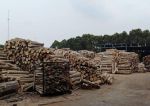 thumbnail-dijual-pabrik-balaraja-barat-oprasional-pabrik-kayu-siap-nego-n-survey-2