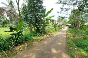 Tanah Murah 648m Hanya 650 Jt Dekat Stasiun Bojong Gede