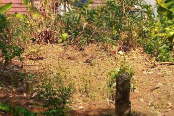 BU tanah murah Kavling BRI samping SMK Madani Depok