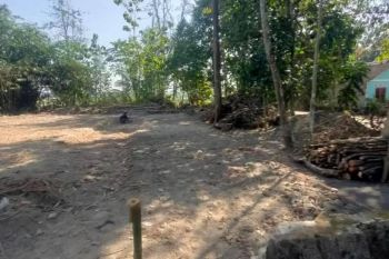 Tanah shm dekat sma 1 jetis bantul harga 1 jutaan