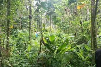 Tanah Kebun Istimewa dekat pemukiman warga Tajinan Malang