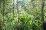 thumbnail-tanah-kebun-istimewa-dekat-pemukiman-warga-tajinan-malang-0