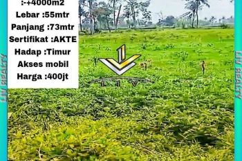 Dijual tanah murah, sangat cocok buat investasi.