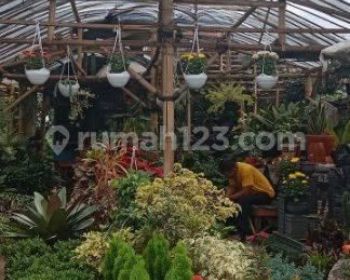 Tanah Strategis Mainroad Soekarno Hatta Bandung