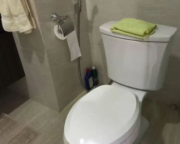 Dijual Central Park type 3 BR Furnished