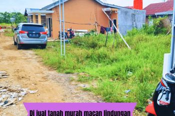 Di jual tanah murah lokasi macan lindungan