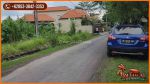 thumbnail-view-sawah-lingkungan-villa-2000-m2-di-sukawati-ubud-9