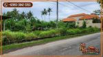 thumbnail-view-sawah-lingkungan-villa-2000-m2-di-sukawati-ubud-3