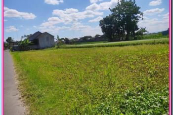 Tanah Murah Sorogenen Utara Bandara Adisucipto