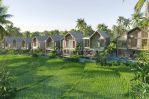 thumbnail-leasehold-land-with-ricefield-view-bonus-design-di-buduk-mengwi-3