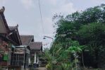 thumbnail-dijual-tanah-jogja-dekat-jl-magelang-3-jt-an-m-akses-lebar-3