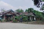 thumbnail-dijual-tanah-jogja-dekat-jl-magelang-3-jt-an-m-akses-lebar-2