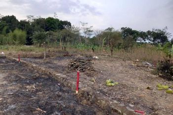 Tanah Murah Dekat Sirkuit Sentul. Angsur 12x  Bunga 0%