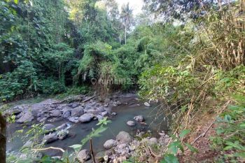 Riverside Land For Lease In Buwit, Udb 009