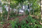 thumbnail-riverside-land-for-lease-in-buwit-udb-009-7