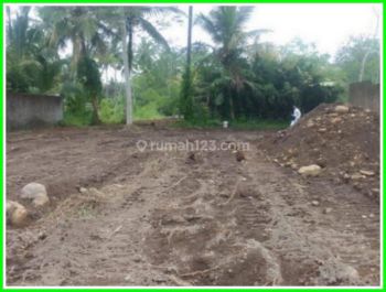 Tanah Dijual Jogja, Tanah Sleman Untuk Investasi