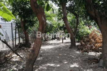 TANAH DENPASAR BALI, AKSES JALAN 7 METER, LEBAR DEPAN 12 METER