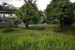 thumbnail-dijual-tanah-di-sukabumi-lokasi-di-cimande-sekarang-kebun-durian-11