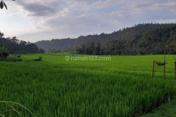 Dijual Tanah 1,2 hectare SHM Singaraja Buleleng