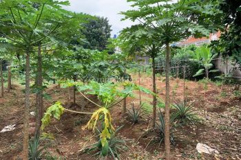 Tanah Berlokasi Strategis Dengan Akses Mudah Di Jalan Cinere Raya