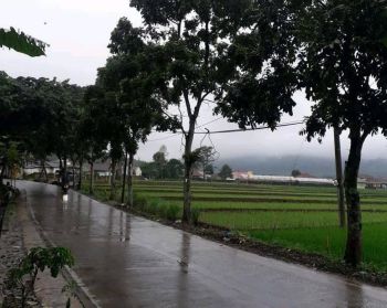 Di Jual Lahan Tanah Kosong Luas 4,9 hektar 2 Shm Sertipikat Hak Milik