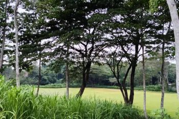 Kavling view lapangan golf,di araya malang.