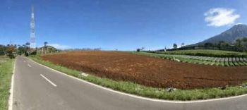 JUAL TANAH MURAH STRATEGIS PINGGIR JALAN PROPINSI