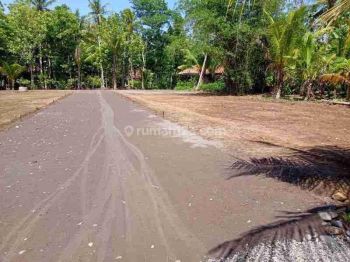 Dekat Bandara Yia Jogja, Tanah Ideal Cocok Hunian, Siap Ajb