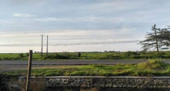Dijual Tanah Luas Di Jalan Utama Gubug Purwodadi
