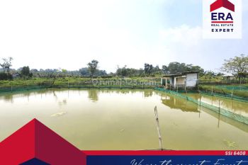 Jual Cepat Empang 4 Kolam ciseeng, Bogor