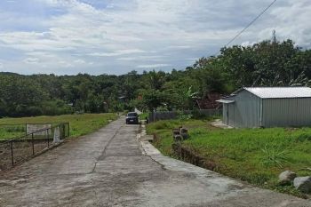 SIAP AKAD NOTARIS: Tanah Dijual Sleman, Barat Kampus UMY