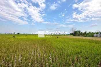 Leasehold Land In Kaba Kaba With Ricefield View, Tabanan