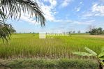 thumbnail-leasehold-land-in-kaba-kaba-with-ricefield-view-tabanan-2