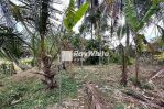 thumbnail-leasehold-land-in-kaba-kaba-with-ricefield-view-tabanan-4