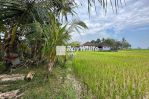 thumbnail-leasehold-land-in-kaba-kaba-with-ricefield-view-tabanan-6