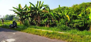 Dijual Tanah Barat Rs Akademik Ugm, Tlogoadi, Mlati, Sleman